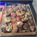 만석빌딩 | 넓고 깔끔해서 좋았던 만석공원 맛집 수원 무한조개