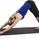 도그리치 이미지