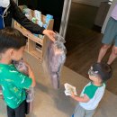 서천이하복고택전시관 이미지