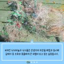 청호클린