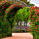 광주시청 이미지