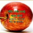 매년 10월24일은“사과데이(apple day)”입니다. 이미지