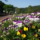 뿌리광장 이미지