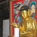 정유리 카카오 검색결과