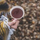 건강 요가-A 이미지