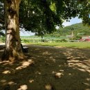 양보중학교 이미지