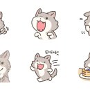퐁신퐁신