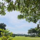 행정용 16번 | [태국 골프] 방콕(프라나콘씨아유타야) 라차캄 골프클럽 ②