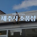 한라태권도 본관 | 제주시 소품샵 제주공항근처 가볼만한곳 8곳 모음 (섬조각, 관심사, 질랜디아, 스몰띵스벗, 요고조고...