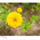 세현목장 이미지