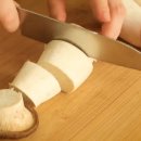 버섯애가 이미지