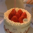 이리제(IRISE) 이미지
