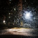 은혜목장 이미지