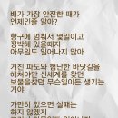 수갤러리 이미지