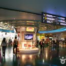 코엑스 Daum카페