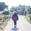 하모리 지석묘 이미지