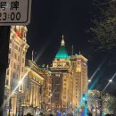 나무와 해(海) | [상하이 호텔] Alila Shanghai : 미술관같은 5성급 호텔&amp; bar ,뷰가 미쳐버린 루프탑bar