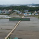 매송농장 이미지