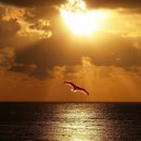 해뜰무렵 이미지