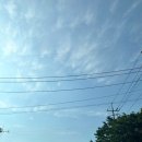 안경나라 수곡점 | 청주안경 안경나라 여름맞이 선글라스 구매하기(일부내돈내산)