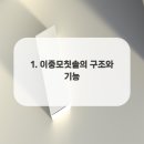 솔플란트치과의원 네이버블로그