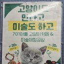 💜귀여운 고양이들을 만날 수 있는 하남 미술 공방, &#34;701아를고양이카페 cat in the art&#34; 추천!!