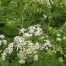 전호농장 이미지