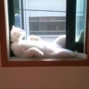와써 이미지