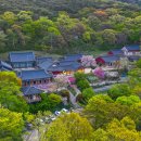 여행바람 이미지