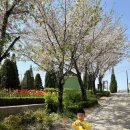 리안헤어(위시티식사점)