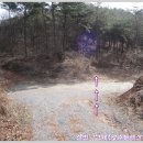 무학초등학교 Daum카페