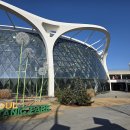 그린꽃식물원 | 겨울 실내 가볼만한곳 서울식물원 입장료 주차 식당 여행일지