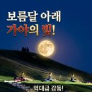 2024 김해가야금축제 | 김해 보름달 아래 수놓인 천 개의 별, 2026 가야문화축제 둘째 날 생생 후기!