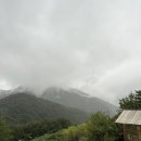 문나이트 | 삼척 숲캉스 숙소⛰️ [향초목원] 문나이트 후기