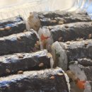 인생꼬마김밥 네이버블로그