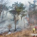 김삿갓면-42 이미지