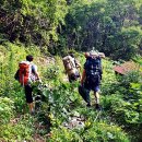 어진이네민박 이미지