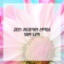 분당-343 이미지