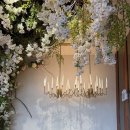 셀럽프라자 | 27년 상반기 파주 운정 규수당 웨딩홀 견적 상담 후기