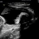 이영암내과의원 이미지