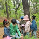 시립풍동숲속어린이집 이미지