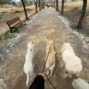 루트231 유치원 & 호텔 이미지