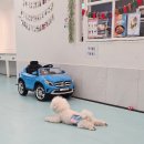 계양경기장 벨로드롬 | 계양구 실내애견카페 - &#39;리츠펫 계양경기장점&#39; 내돈내산 후기