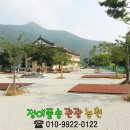 정이품송캠핑장 이미지