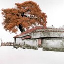 양지편2로 이미지