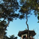 솔마루길 삼호산 | 솔마루길(삼호산-옥동산 구간)