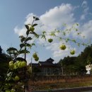 희정이네농장 이미지