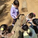 좋은나무kids어린이집