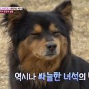 스윗띵