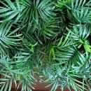 왕신1리경로당 이미지